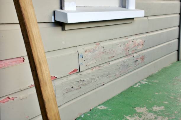 Best Dumpster Rental Services  in Lancaster, PA